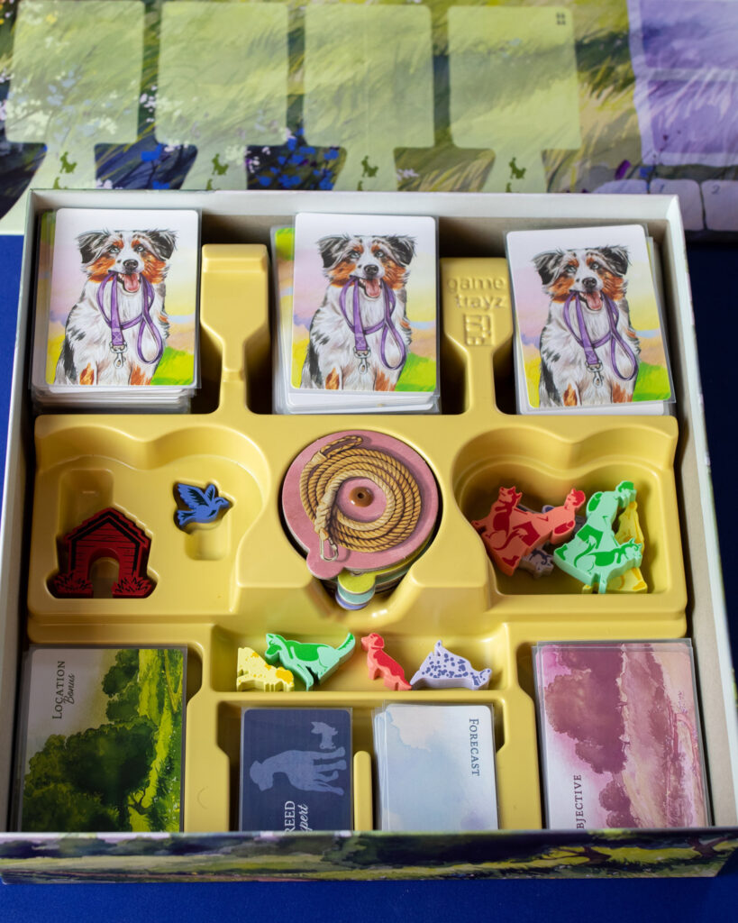 The inside of a board game box.